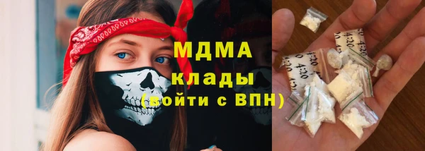 spice Бородино