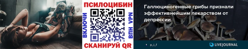где купить наркоту  Волчанск  Псилоцибиновые грибы Cubensis 